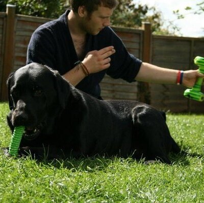 Profile Picture of James O'Brien (@Kielbasa69) on Twitter