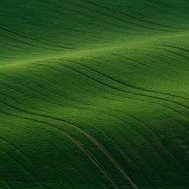 Profile Picture of Peng Jiang (@PengJiang15) on Twitter