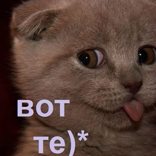 Profile Picture of Лиса Коваль (@&) on Facebook