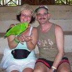 Profile Picture of Robert Van Den Bosch (@robert.vandenbosch1) on Instagram