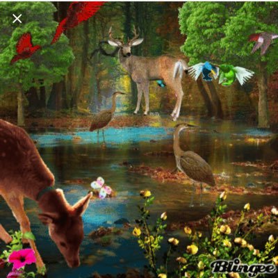 Norma Ibarra - Twitter Profile Picture of Norma Ibarra (@normaibarra00) on Twitter