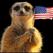 Profile Picture of Graham Hicks (@MeerkatMoon) on Youtube