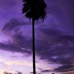 Profile Picture of Wendi Hayes (@purplehayescreations) on Instagram