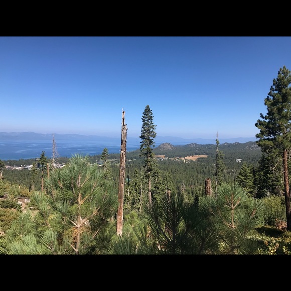 Profile Picture of Andrew Brunicardi (@abrunicardi) on Poshmark