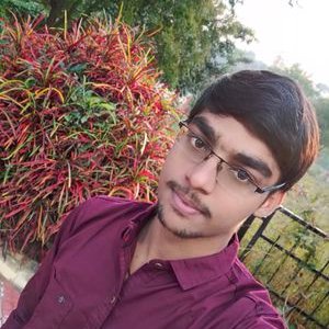 Profile Picture of Navyasai Sodanapalli (@NavyasaiS) on Twitter