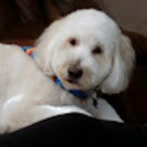 Profile Picture of Simonne Fannin (@2simonne) on Poshmark