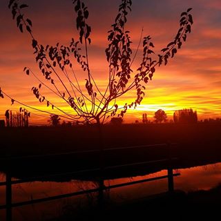 Profile Picture of Maurizio Bassi (@maurizio.bassi.18) on Facebook