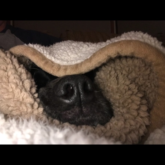 Profile Picture of Keith Greer (@elle5544) on Poshmark