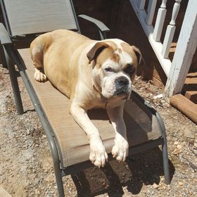 Mindy Henderson - Pinterest Profile Picture of Mindy Henderson (@melton1983) on Pinterest