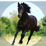 Profile Picture of amanda_wulff 06 (@amanda_wilff) on Instagram