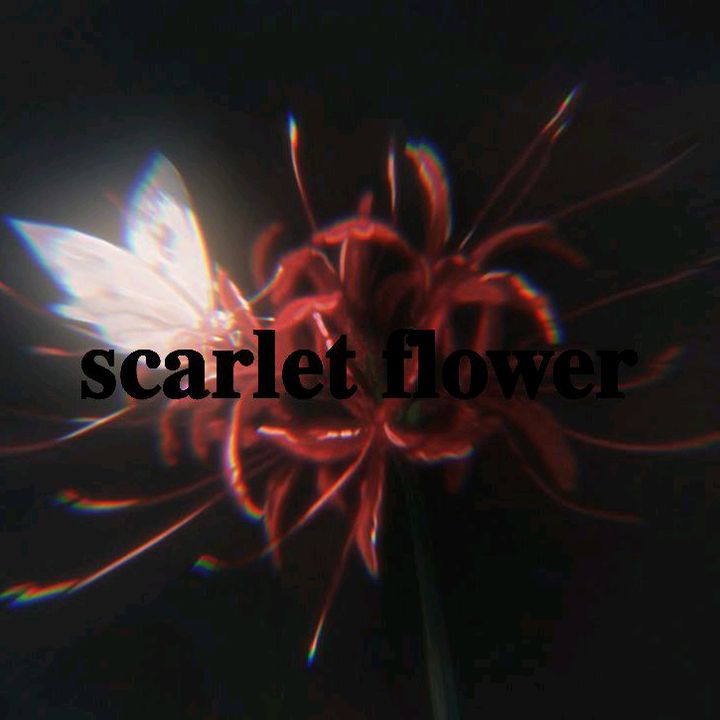 Profile Picture of 𝐬𝐜𝐚𝐫𝐥𝐞𝐭 𝐟𝐥𝐨𝐰𝐞𝐫 (@scarlet.flower.kf) on Tiktok