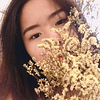 Profile Picture of Hang Luc (@hangluc) on Flickr
