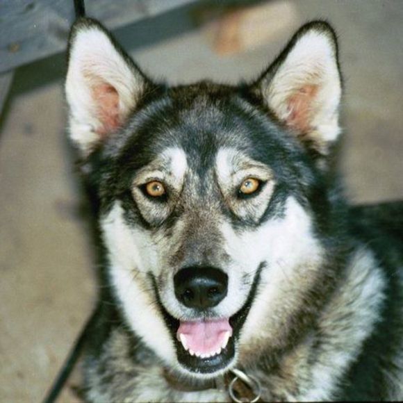 Profile Picture of Albert Janka (@cap359) on Poshmark