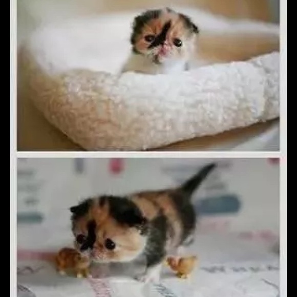 Profile Picture of Jared Gagne (@jaredrgagne) on Poshmark