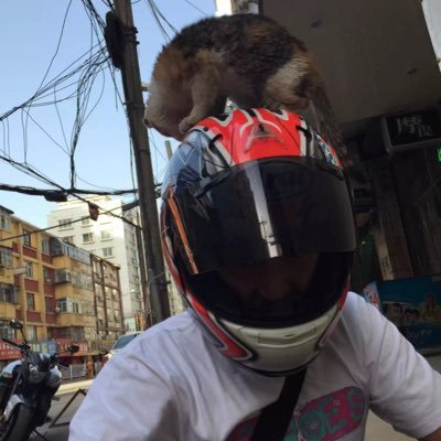 Profile Picture of Jon Tsao (@jon_tsao82) on Twitter