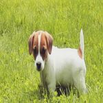 Profile Picture of rebecca.walston (@tonya.walston) on Instagram