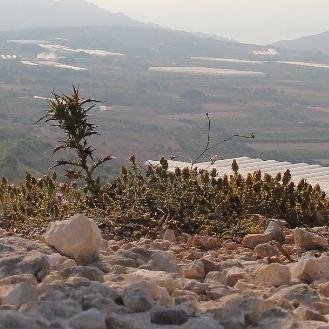 Profile Picture of Andrew Agius (@AndrewAgius3) on Twitter