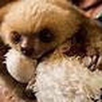 Profile Picture of Hannah Sofia Lara Meza (@hannah-sofia-lara-meza) on Quora