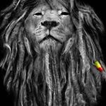 Profile Picture of Dominick Thompson (@domginger13) on Instagram