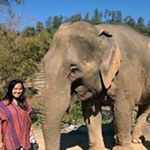 Profile Picture of Julia Xiong (@julxiong) on Instagram