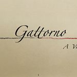 Profile Picture of Vincent Gattorno (@vdg727) on Instagram