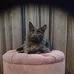 Profile Picture of Richard Engström (@richard.engstrom.75) on Facebook