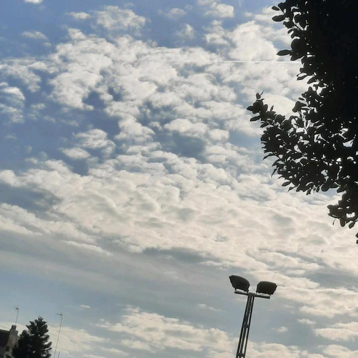 Profile Picture of IrisGomez (@iris_gomez8) on Tiktok