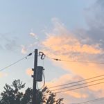 Profile Picture of Stella Frank (@supitsstella) on Instagram