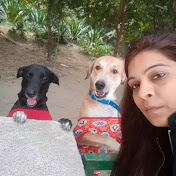 Profile Picture of Shilpi Jain (@shilpijain2103) on Youtube