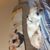 Profile Picture of Jasmine Carlisle (@jasminecarlisle7940) on Youtube