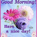 Profile Picture of Joseph Lucien (@lucien2674) on Instagram