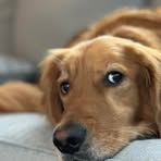 Profile Picture of Ben Rotz (@ben.rotz.1) on Facebook