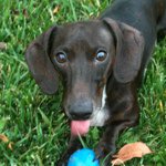 Profile Picture of Brad Mathias (@july11pics) on Instagram