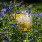 Profile Picture of Harbert (@harbertdore) on Instagram