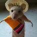 Profile Picture of Ernest Ledesma (@ernest.ledesma.58) on Facebook