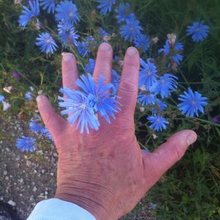 Profile Picture of david sereda (@davidsereda) on Instagram