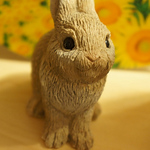 Profile Picture of Nemuri Usagi (@nemuri usagi) on Flickr