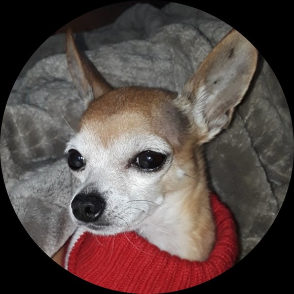 Profile Picture of Viola Brandon (@crystalqdc68) on Poshmark