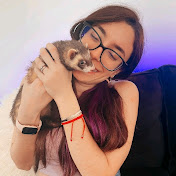 Profile Picture of Paula Rigoli (@paulaRigoli-z8q) on Youtube