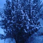 Profile Picture of lara Bürger (@burger4048) on Instagram