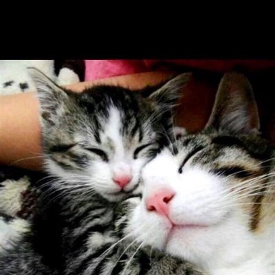 Profile Picture of Lorena Pinto Lizárraga (@LorenaPintoLiz1) on Twitter