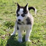 Profile Picture of Wyatt Fitzgerald (@fitzgeraldwyatt) on Instagram