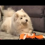 Leighsa Willett - Facebook Profile Picture of Leighsa Willett (@Leighsa-Willett) on Facebook