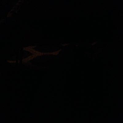 Profile Picture of Aileen Aranda (@aranda_aileen) on Twitter