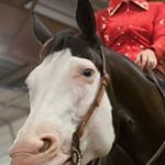 Profile Picture of Mitzi Nichols (@nicholsmitzi) on Instagram