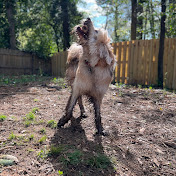 Profile Picture of Kyle Knox (@kyleknox_27) on Youtube