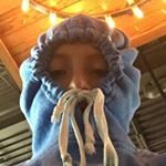 Profile Picture of Jacob Sackenheim (@sack140) on Instagram