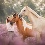 #hoifamily - Instagram Profile Picture of #hoifamily (@felinehoi) on Instagram