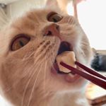 Profile Picture of 🥂 Phan Ngọc Anh Thư 🥂 (@athuw_9) on Instagram