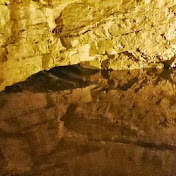 Profile Picture of David Pickard (@davidpickard8577) on Youtube